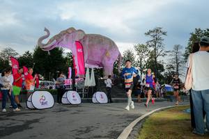 BIB: 
                            <button type="button" onclick="openModal(26529354)" class="btn btn-primary btn-sm float-right btn-popup" data-toggle="modal" data-target=".modal-high-quality">
                        <i class="fas fa-shopping-cart"></i> Add to Cart
                    </button>
                                            <button type="button" onclick="isThisMe(26529354, true)" class="btn btn-success btn-sm float-right btn-popup btn-isme hidden" data-toggle="tooltip" data-placement="bottom" title="นี่คือรูปของคุณใช่ไหม คลิกที่นี่เพื่อเอาเข้าอัลบั้ม">
                        <i class="fas fa-plus"></i> Add to album
                    </button>
                    <button type="button" onclick="isThisMe(26529354, false)" class="btn btn-warning btn-sm float-right btn-popup btn-isnotme hidden">
                        <i class="fas fa-ban"></i> Remove from album
                    </button>